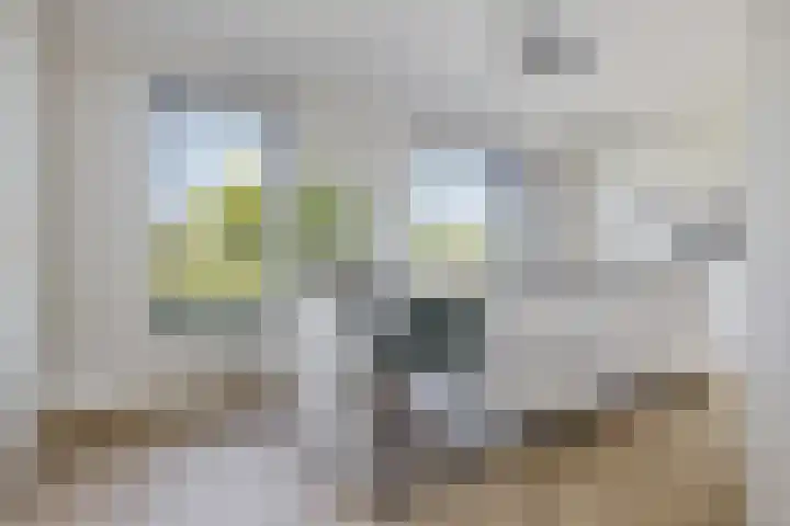Blaarkop 93 Meerstad thumbnail 32