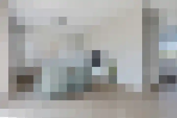 Blaarkop 93 Meerstad thumbnail 36