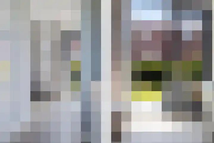 Blaarkop 93 Meerstad thumbnail 38