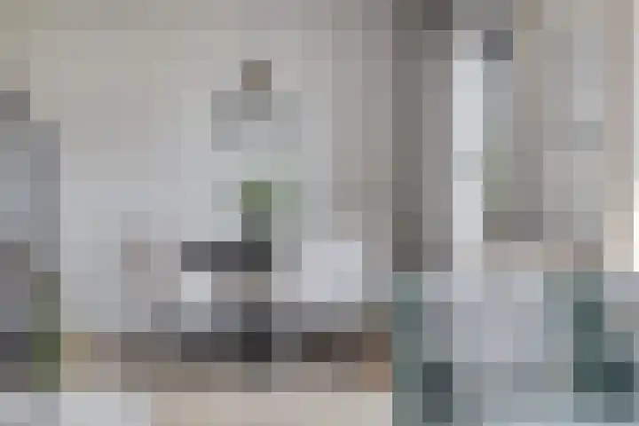 Blaarkop 93 Meerstad thumbnail 4