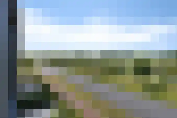 Blaarkop 93 Meerstad thumbnail 48