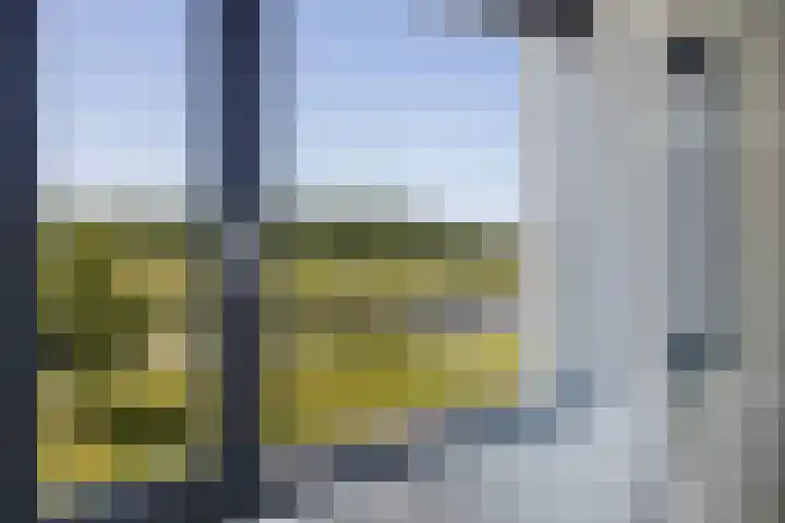 Blaarkop 93 Meerstad thumbnail 6