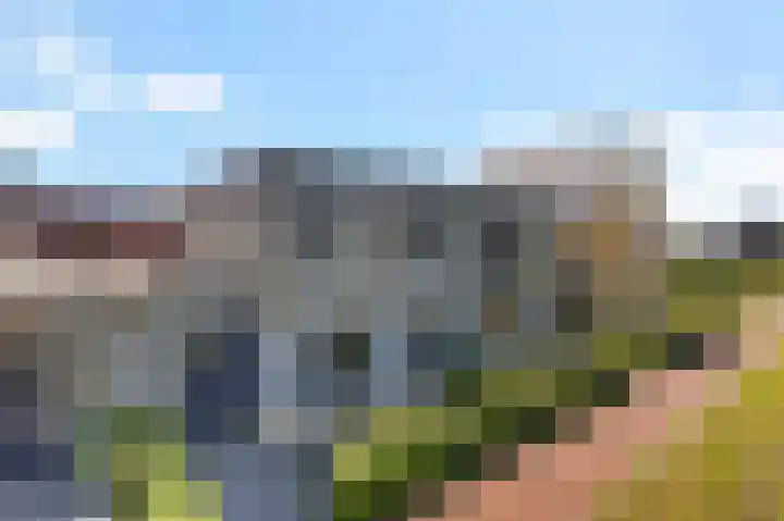 Blaarkop 93 Meerstad thumbnail 8