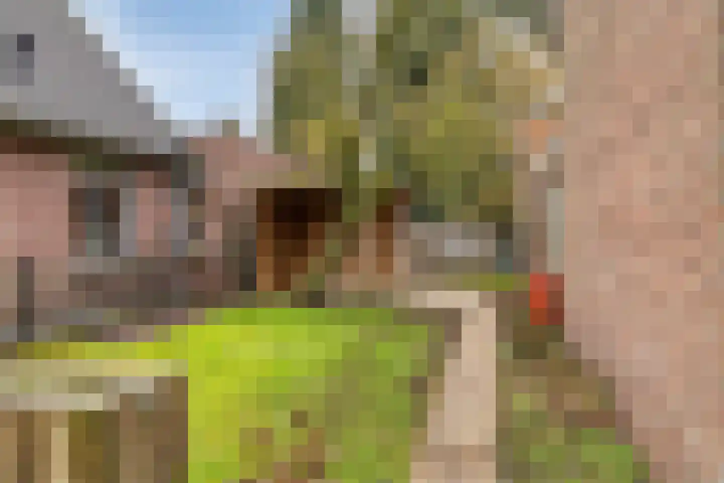 Blaarpeelweg 2 De Rips thumbnail 10