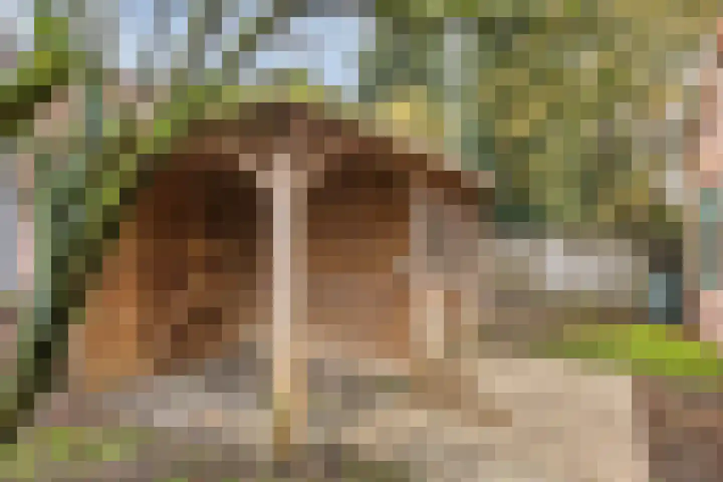 Blaarpeelweg 2 De Rips thumbnail 11