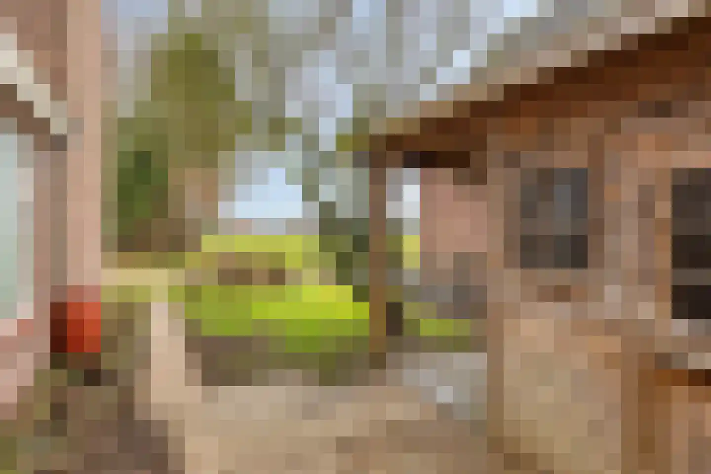 Blaarpeelweg 2 De Rips thumbnail 12