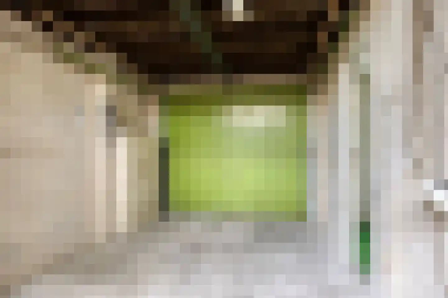 Blaarpeelweg 2 De Rips thumbnail 33