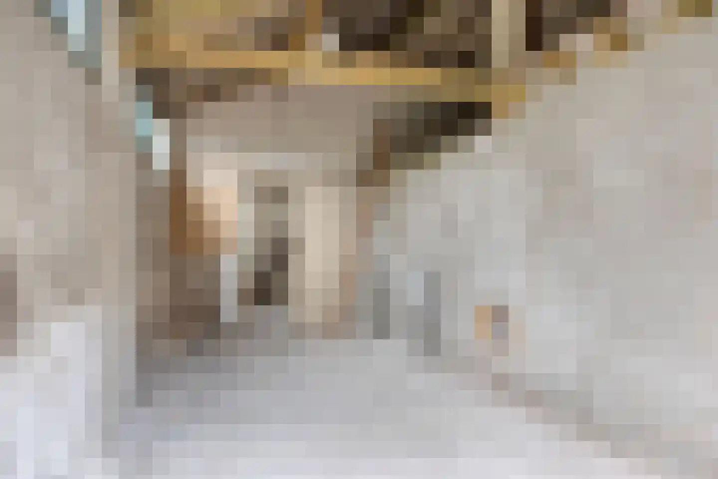 Blaarpeelweg 2 De Rips thumbnail 34