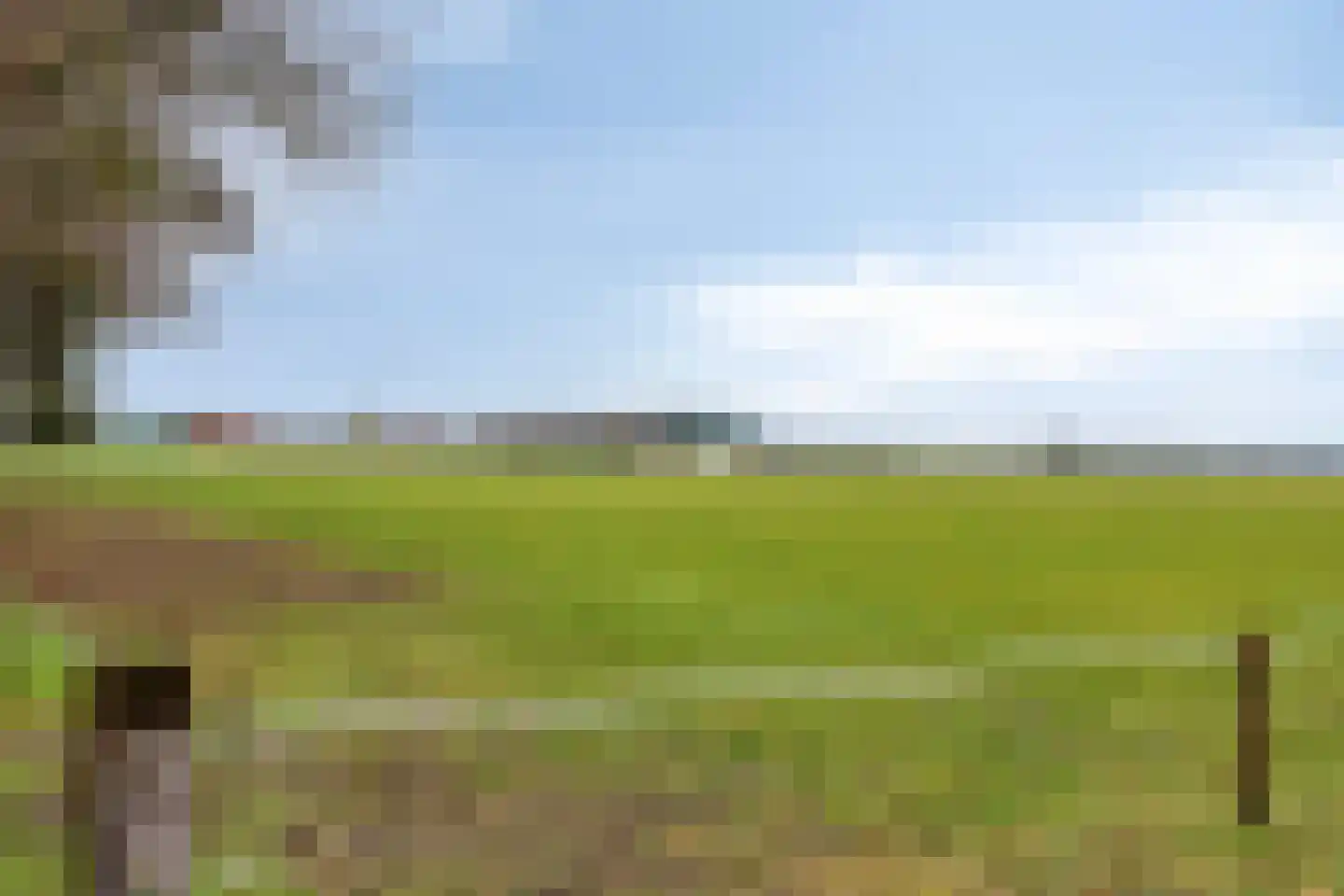 Blaarpeelweg 2 De Rips thumbnail 35