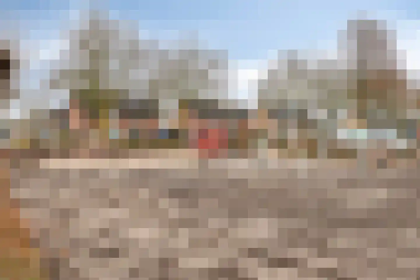 Blaarpeelweg 2 De Rips thumbnail 38