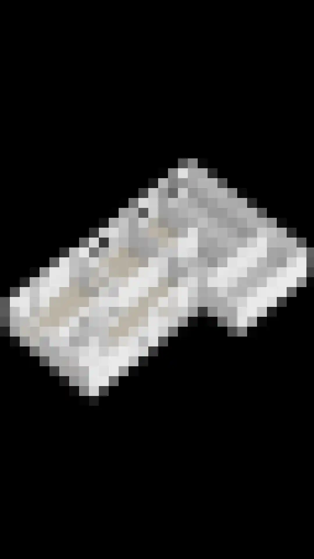 Blaarpeelweg 2 De Rips thumbnail 44