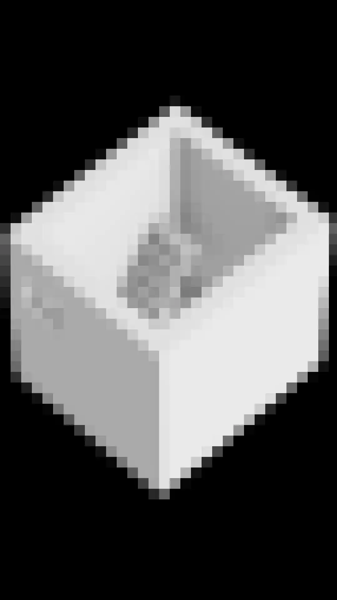 Blaarpeelweg 2 De Rips thumbnail 46