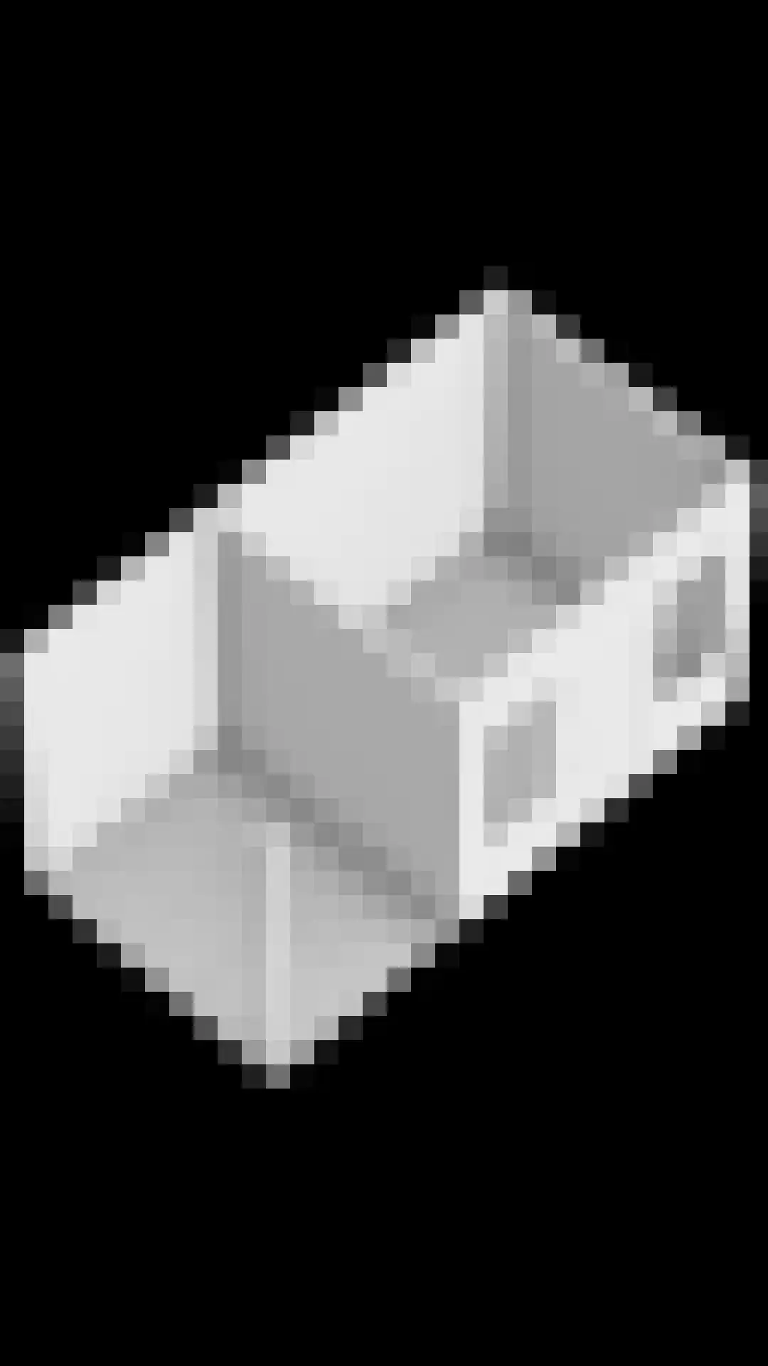 Blaarpeelweg 2 De Rips thumbnail 48