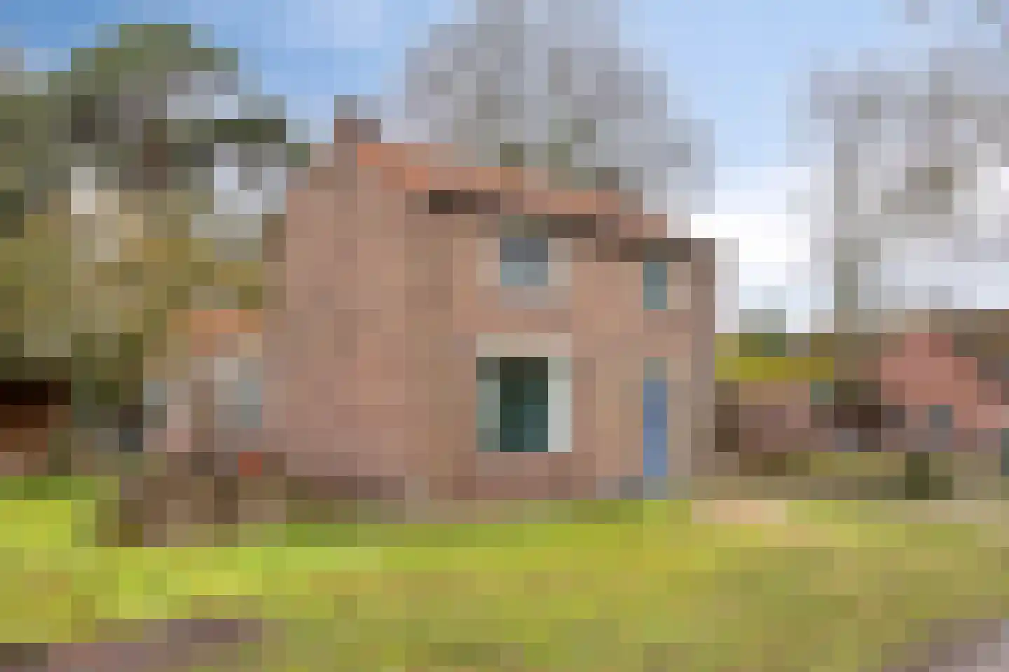 Blaarpeelweg 2 De Rips thumbnail 7