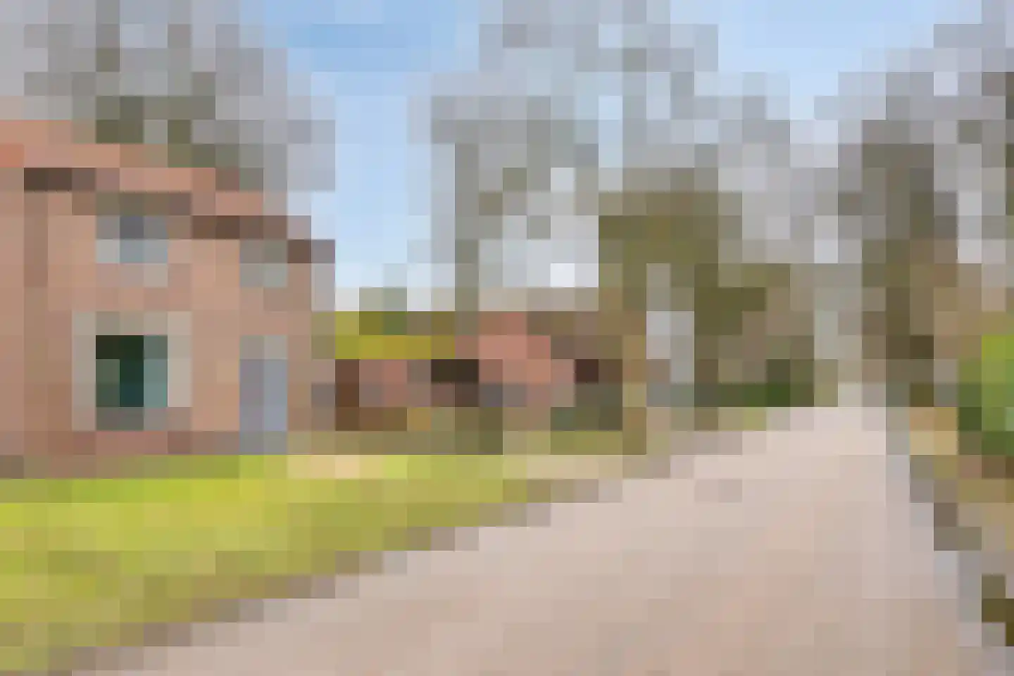 Blaarpeelweg 2 De Rips thumbnail 8