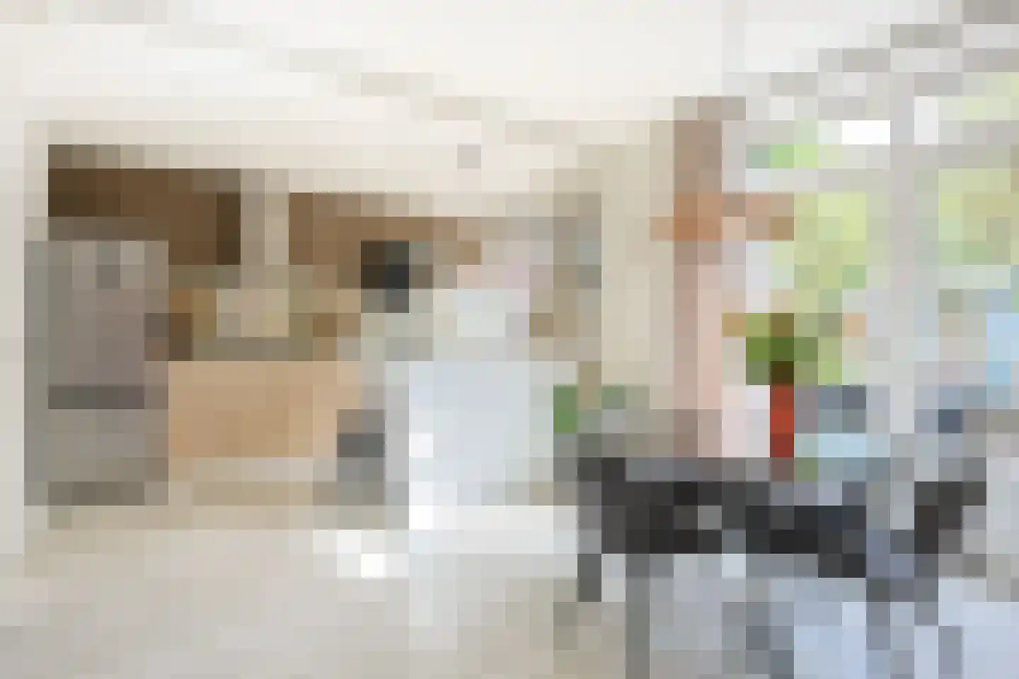 Blaarthemseweg 103 Eindhoven thumbnail 12