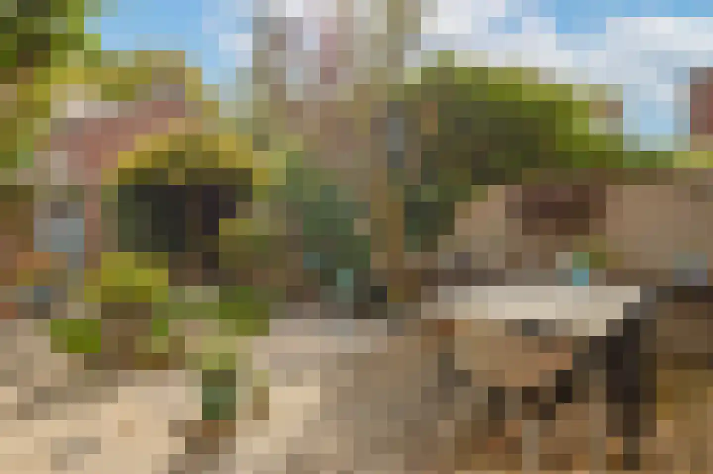 Blaarthemseweg 103 Eindhoven thumbnail 4