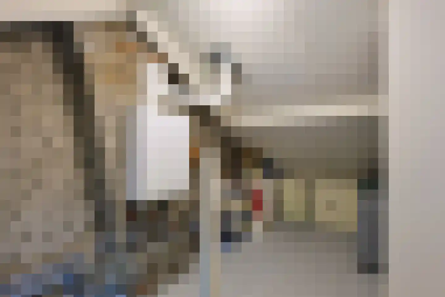 Blaarthemseweg 103 Eindhoven thumbnail 41