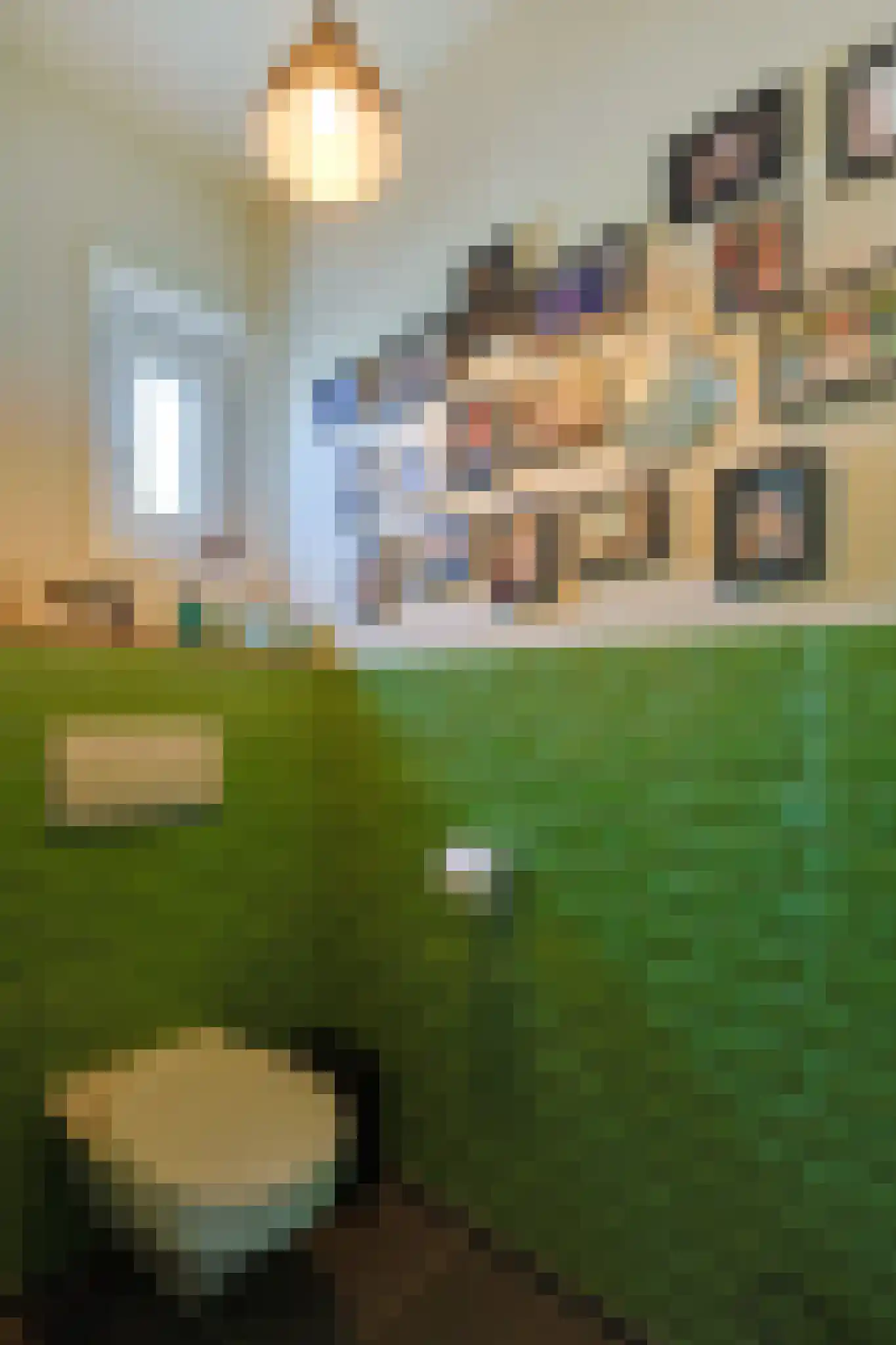 Blaarthemseweg 103 Eindhoven thumbnail 7