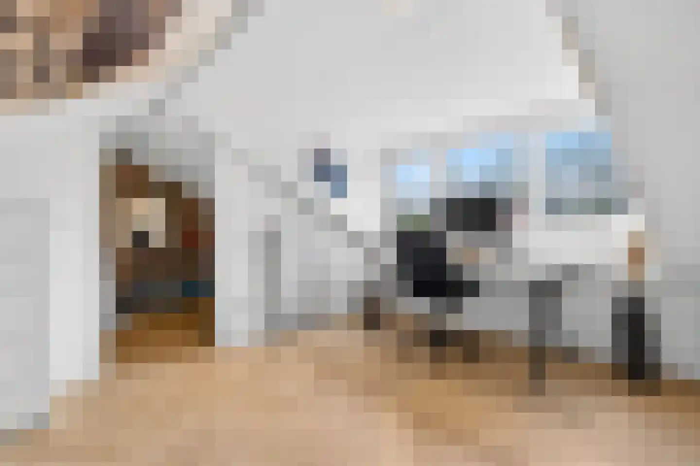 Blaarthemseweg 107 Eindhoven thumbnail 43