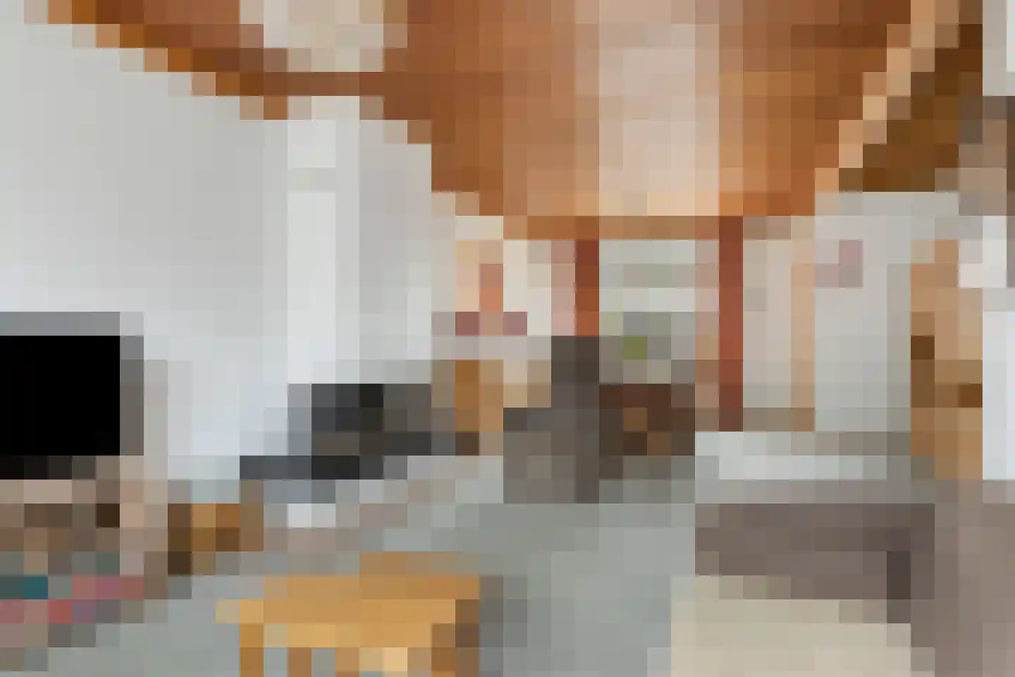 Blaarthemseweg 27 Eindhoven thumbnail 13
