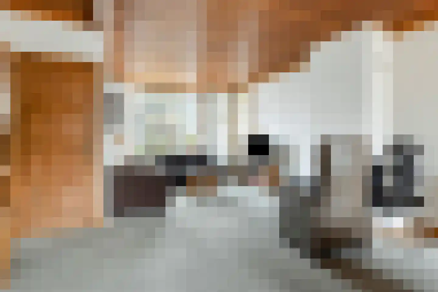 Blaarthemseweg 27 Eindhoven thumbnail 4