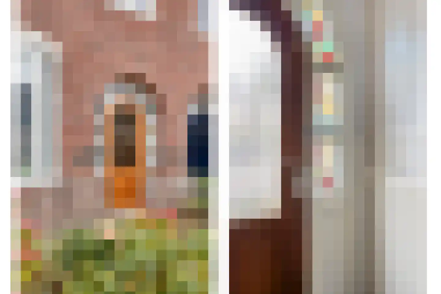 Blaarthemseweg 27 Eindhoven thumbnail 9