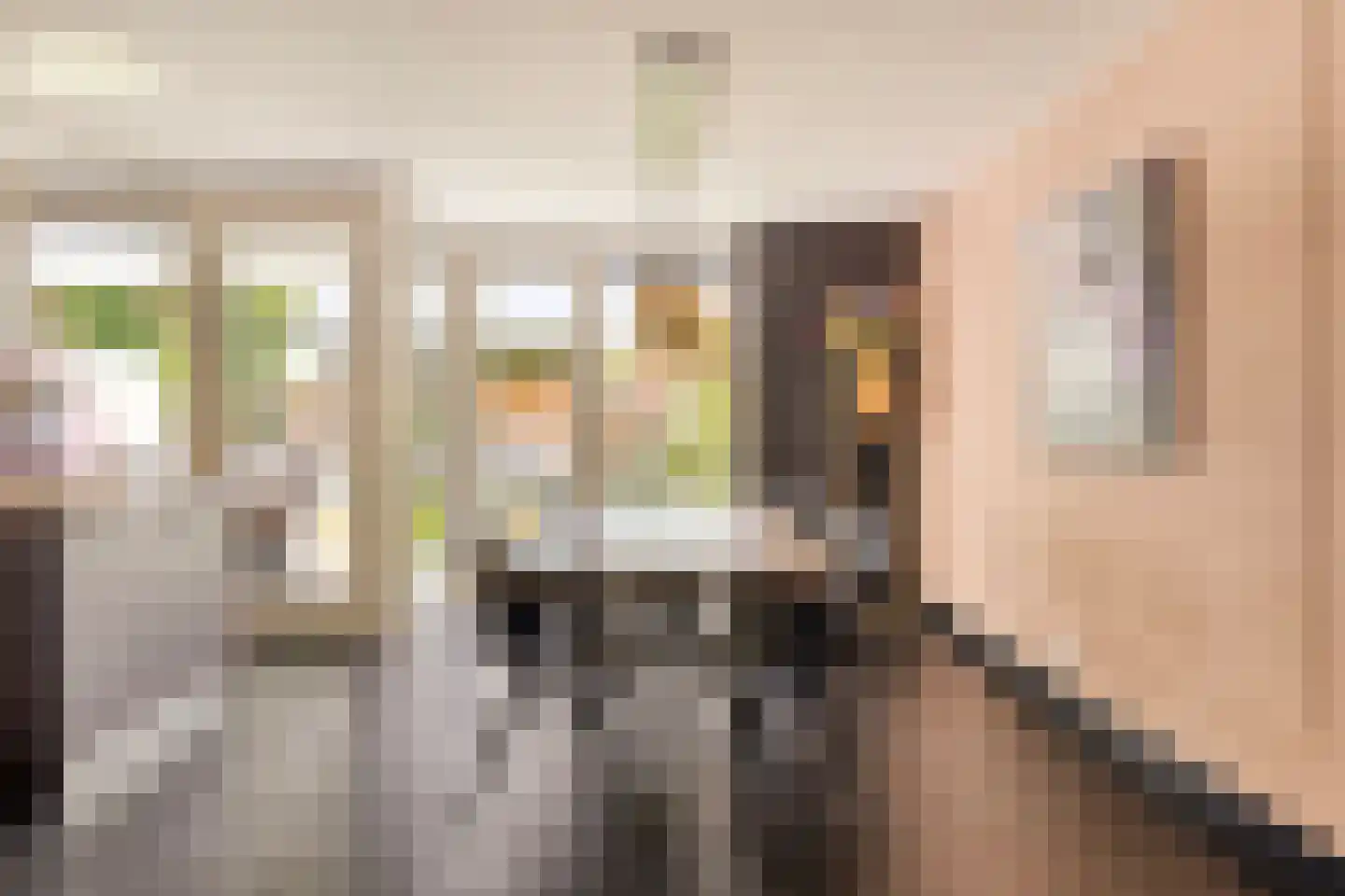 Blaarthemseweg 52 Veldhoven thumbnail 20