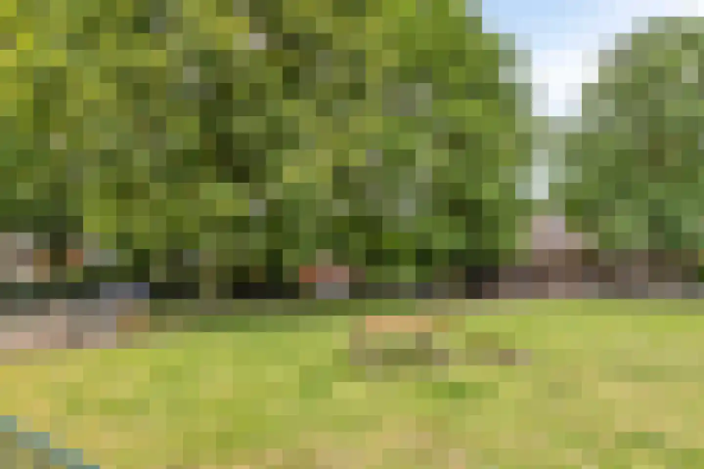 Blaarthemseweg 52 Veldhoven thumbnail 54