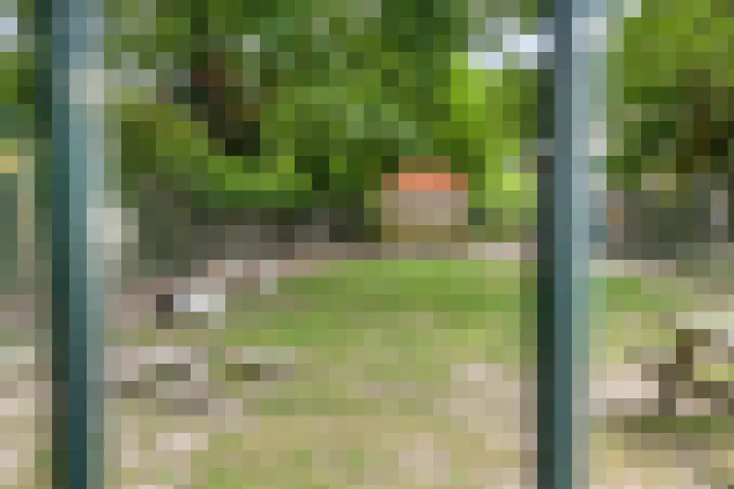 Blaarthemseweg 52 Veldhoven thumbnail 56