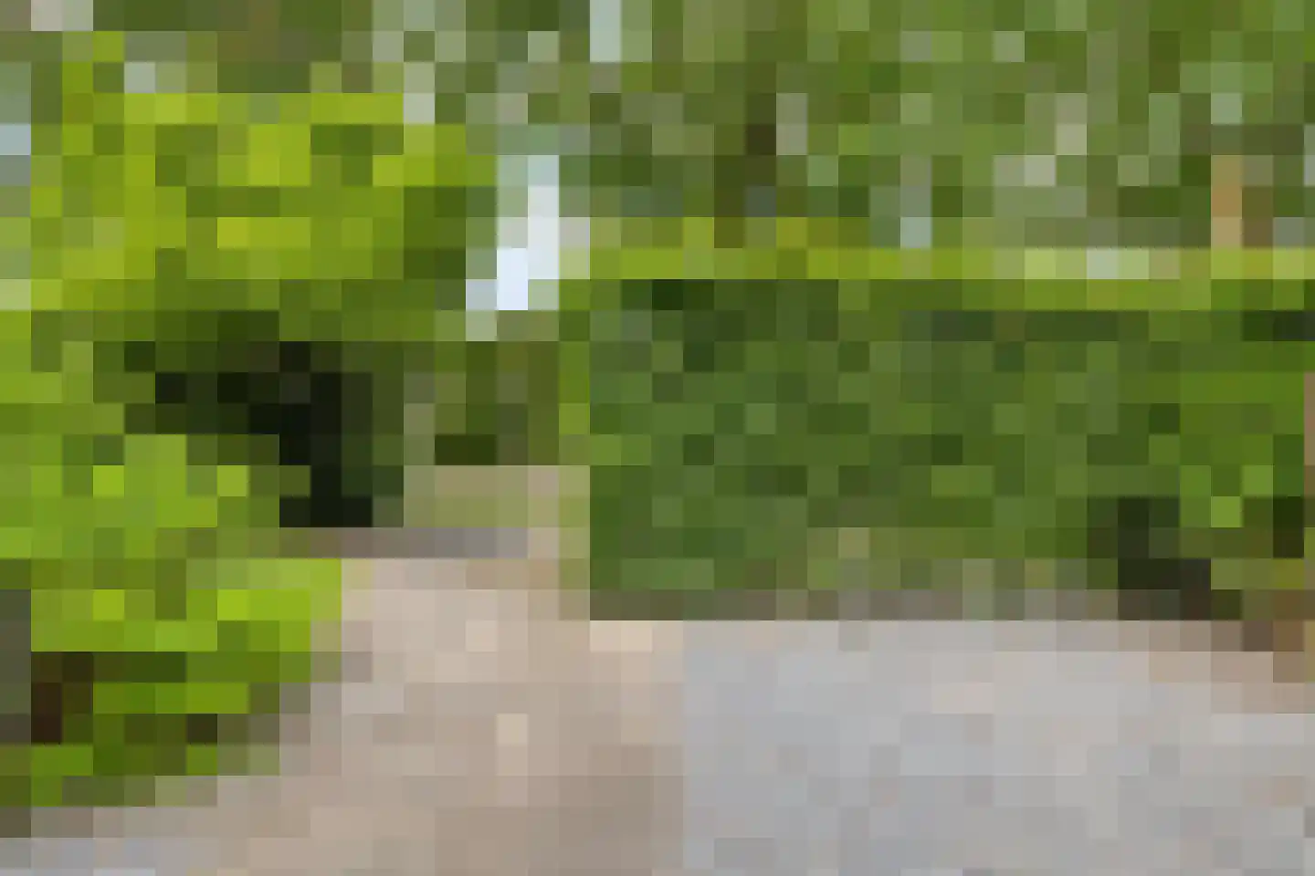 Blaarthemseweg 52 Veldhoven thumbnail 7