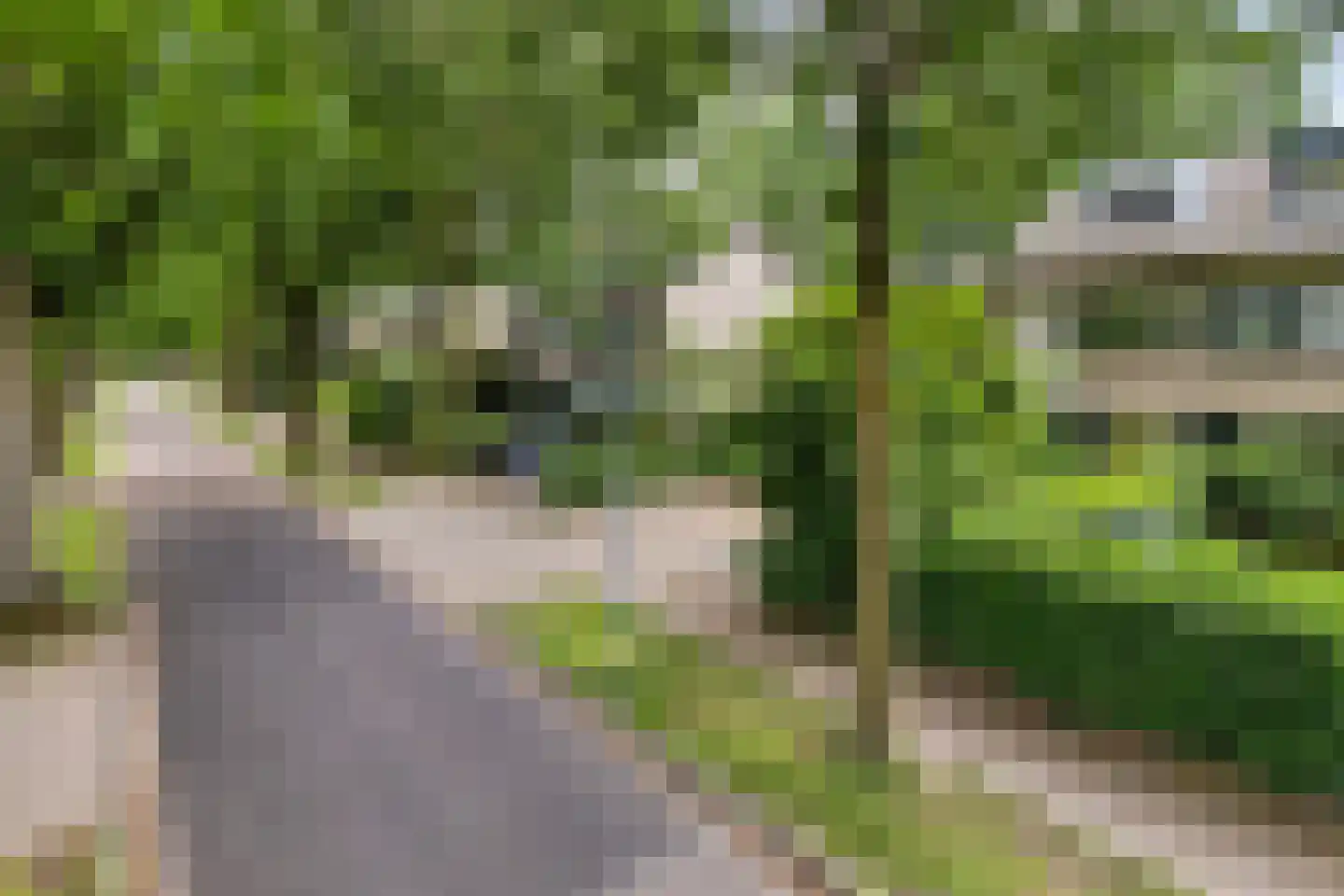 Blaarthemseweg 52 Veldhoven thumbnail 9