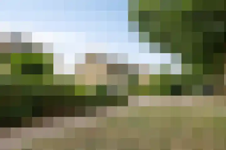 Blaarthemseweg 61 Veldhoven thumbnail 33