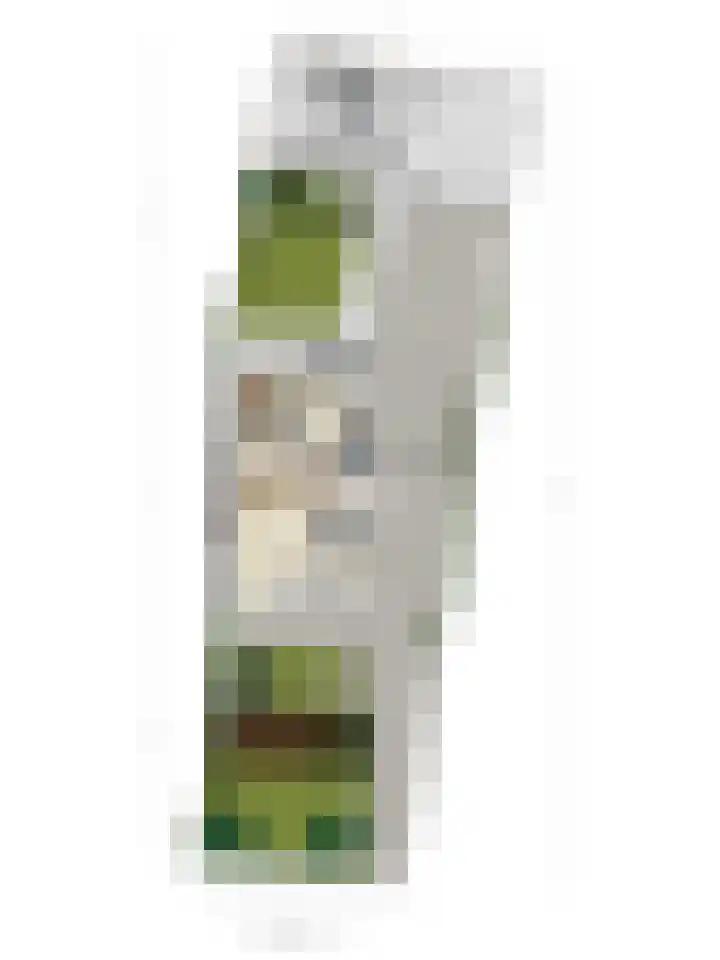 Blaarthemseweg 61 Veldhoven thumbnail 37