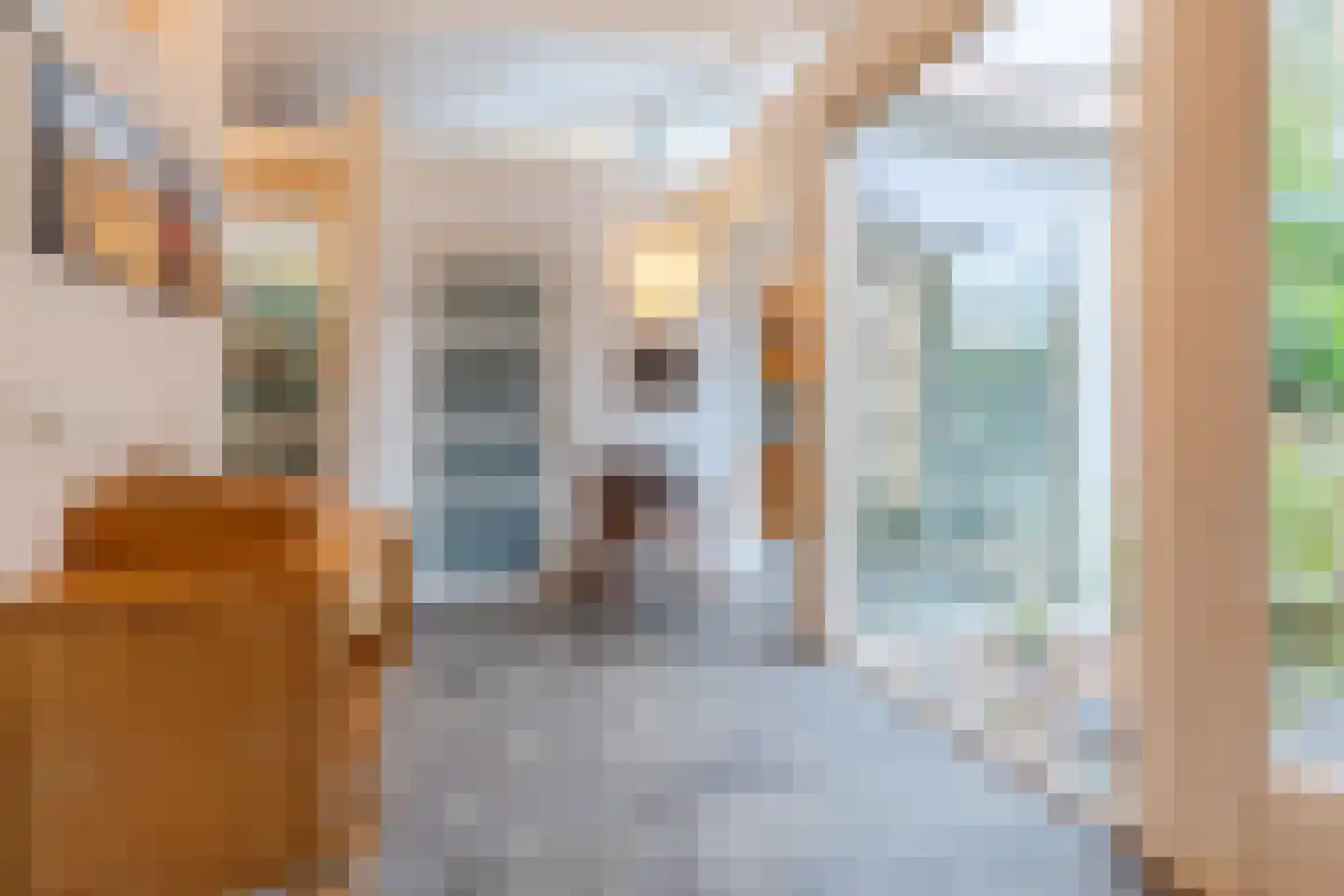 Blaarthemseweg 68 Veldhoven thumbnail 14