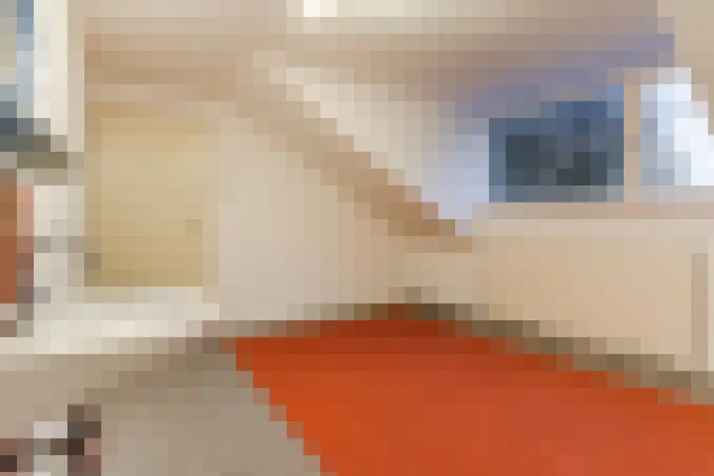Blaarthemseweg 68 Veldhoven thumbnail 29