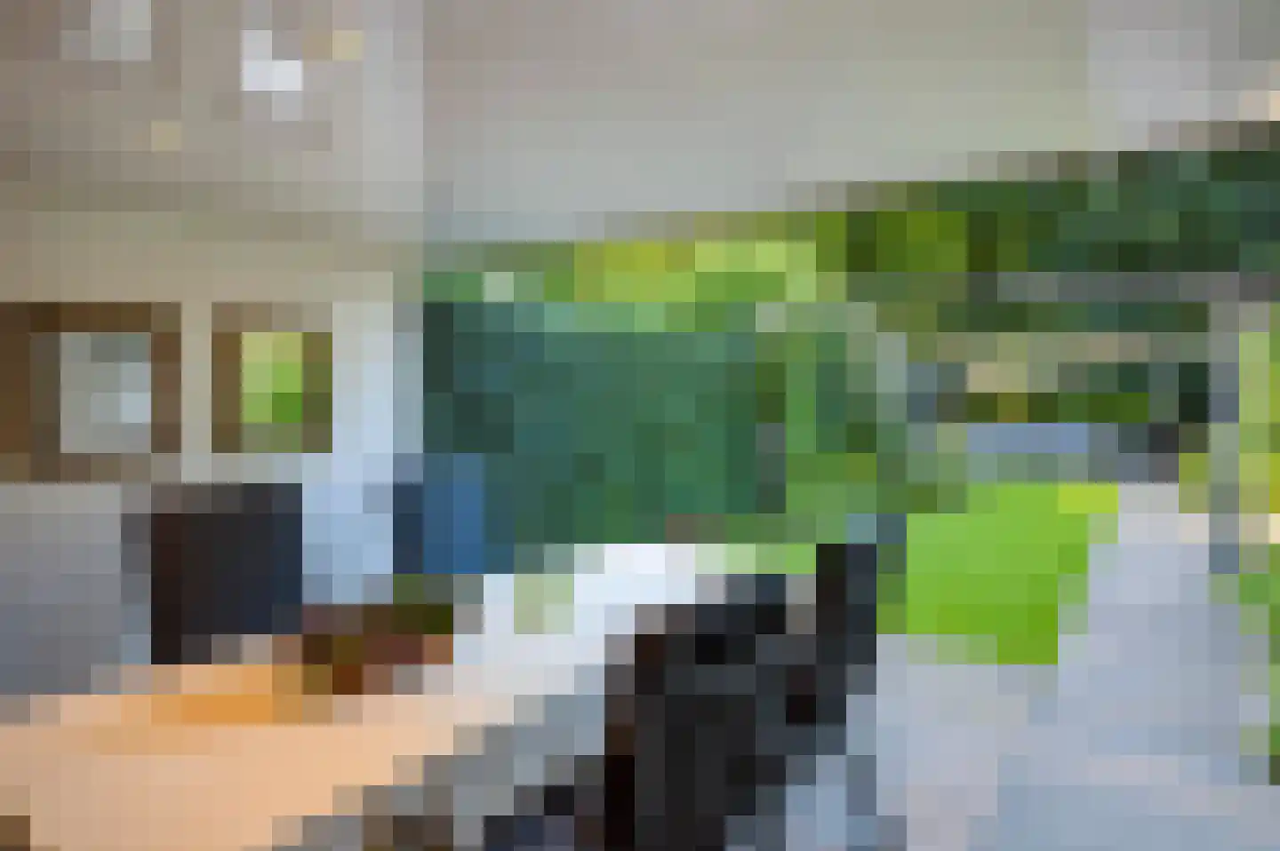 Blaarthemseweg 70 Veldhoven thumbnail 41