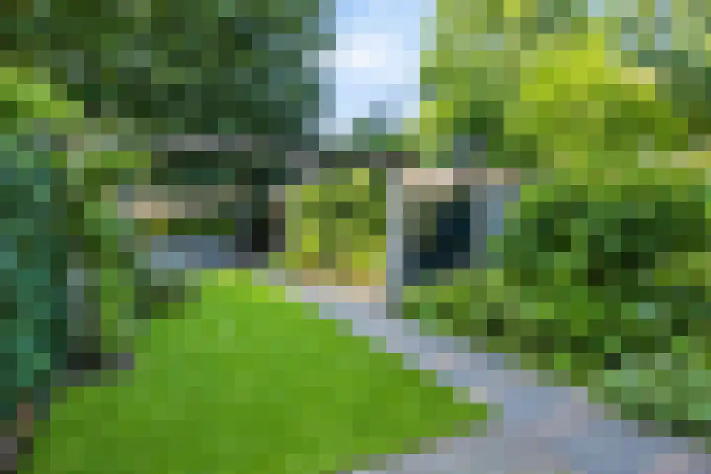Blaarthemseweg 70 Veldhoven thumbnail 43