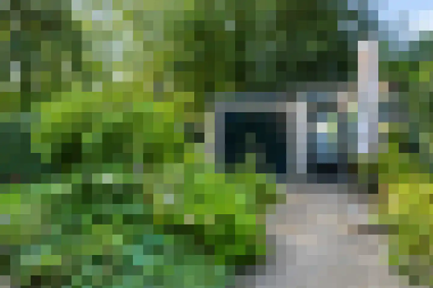 Blaarthemseweg 70 Veldhoven thumbnail 45