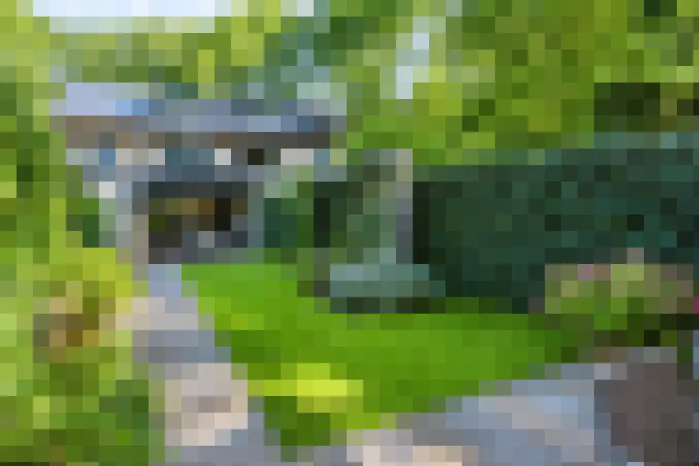 Blaarthemseweg 70 Veldhoven thumbnail 51