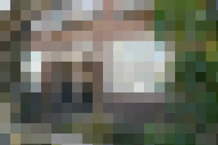 Blaarthemseweg 73 Eindhoven thumbnail 6