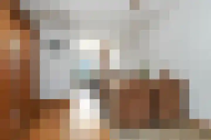 Blaarthemseweg 73 Eindhoven thumbnail 9
