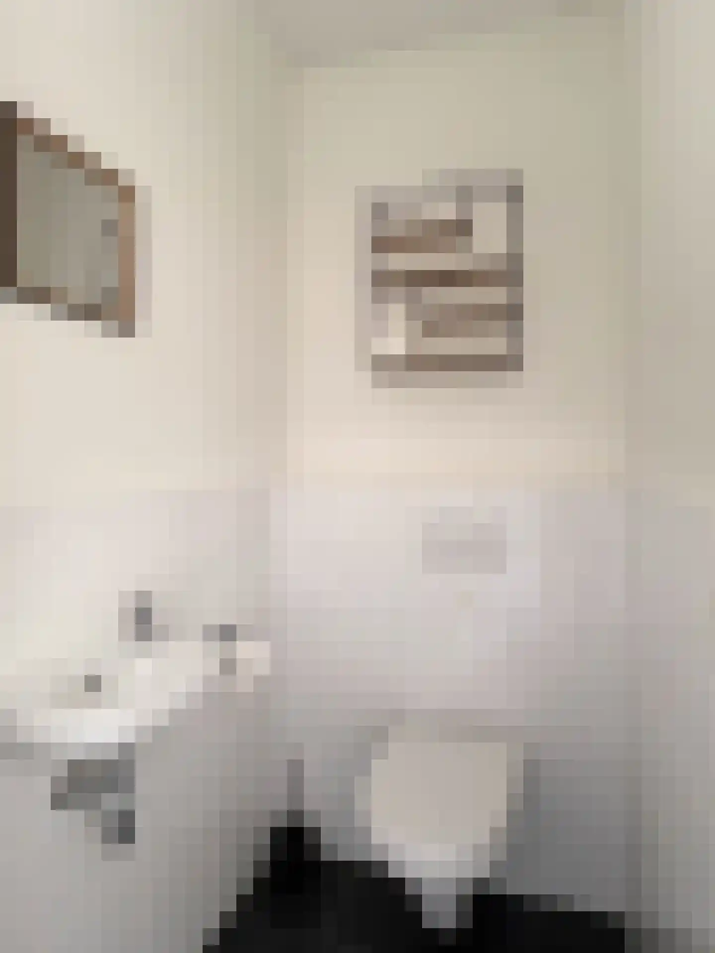 Blaarthemseweg 89 E Eindhoven thumbnail 16