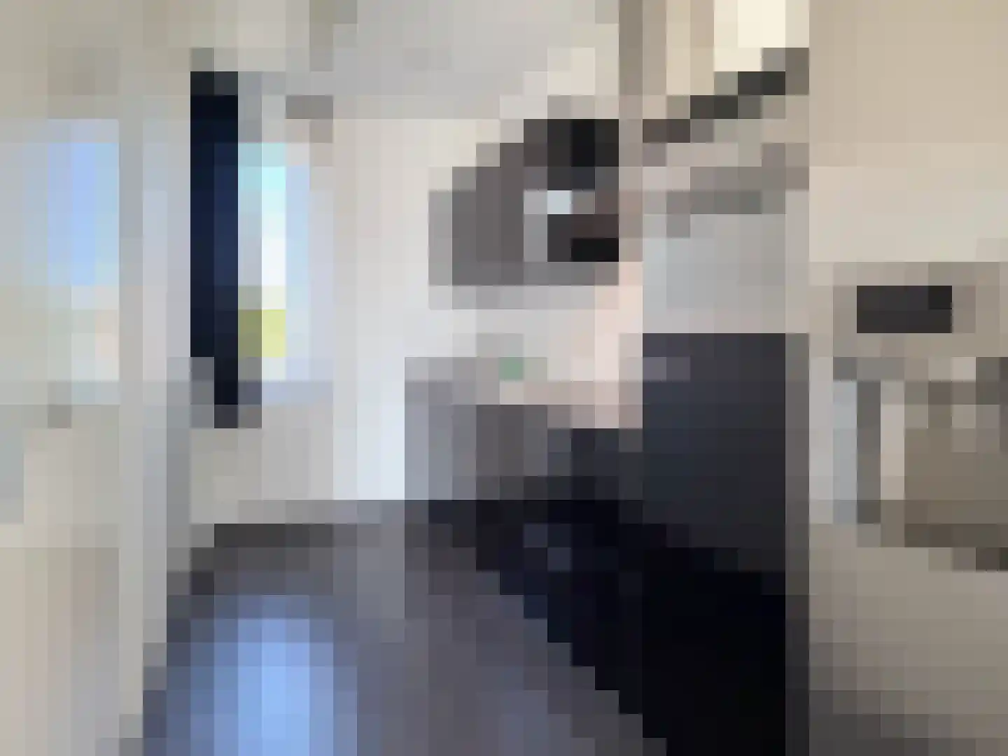 Blaarthemseweg 89 E Eindhoven thumbnail 9