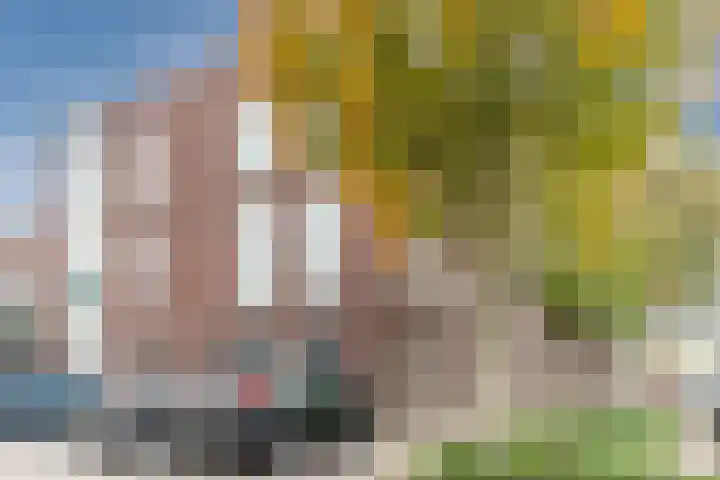 Blaarthemseweg 91 C Eindhoven thumbnail 5