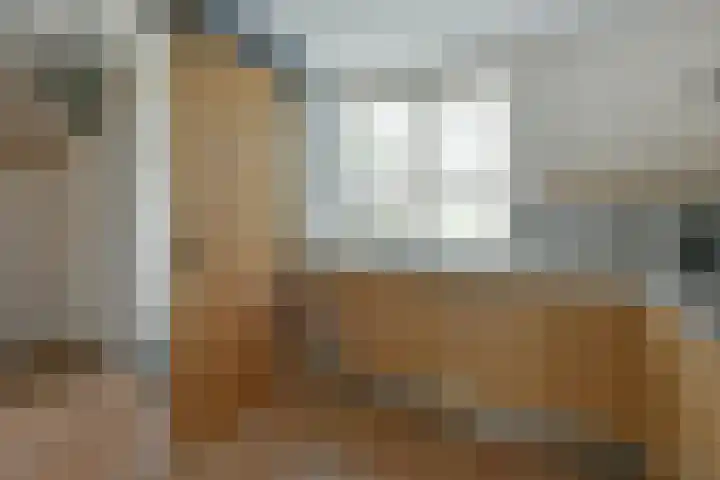 Blaasbalg 41 Nieuwkoop thumbnail 10