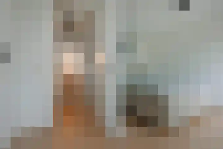 Blaasbalg 41 Nieuwkoop thumbnail 16