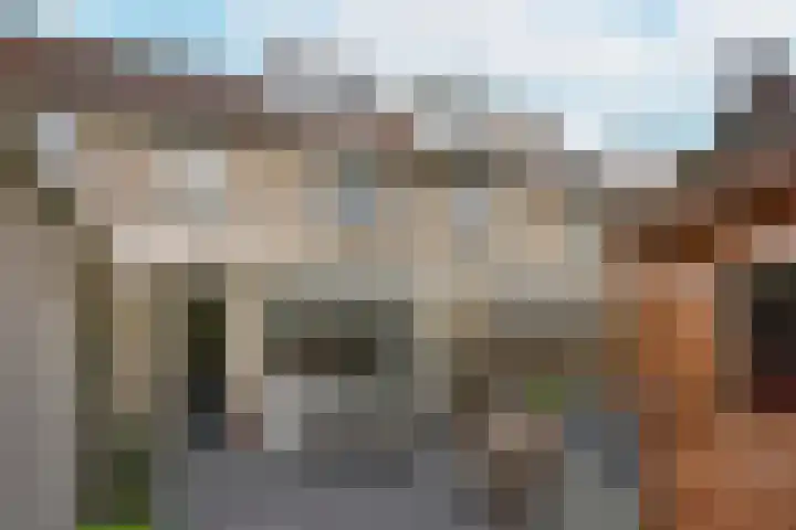 Blaasbalg 41 Nieuwkoop thumbnail 26