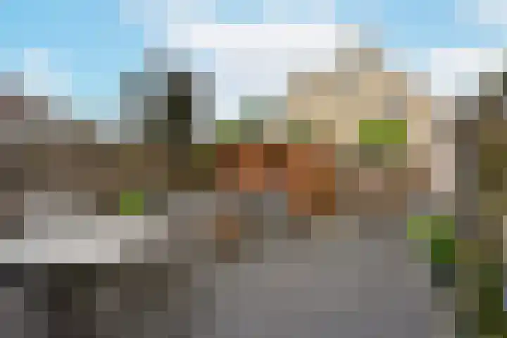 Blaasbalg 41 Nieuwkoop thumbnail 27