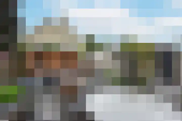 Blaasbalg 41 Nieuwkoop thumbnail 28